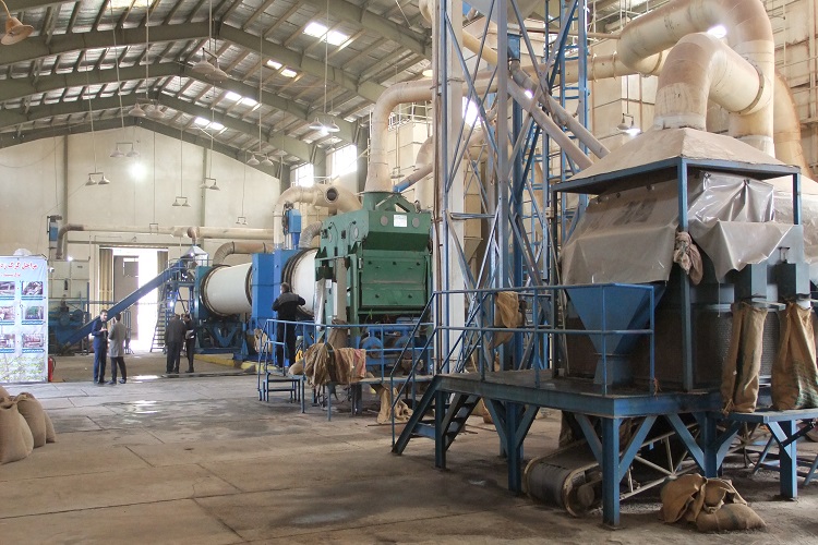 کارخانه کرک‌زدایی بذر پنبه کاشمر راه‌اندازی شد