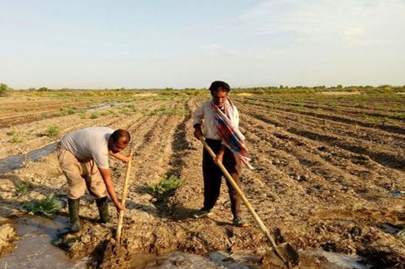 حال کشاورزان خوب نیست