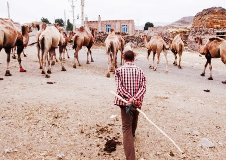 بی‌توجهی به صنعتی سودآور در دل کویر