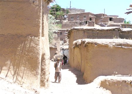 قوانین، فعالیت دهیاری‌ها را محدود کرده است