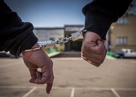 ۱۰۰ درصد سرقت‌ها در کاشمر کشف شده است