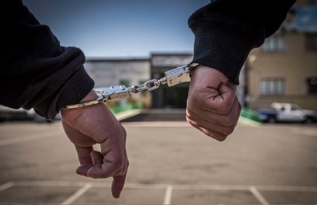 ۱۰۰ درصد سرقت‌ها در کاشمر کشف شده است