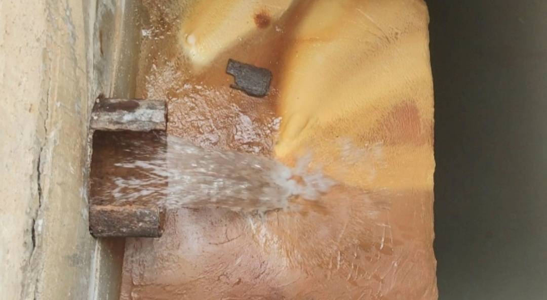 توضیحات ریاست آب و فاضلاب کاشمر در رابطه مشاهده حشره لار در آب آشامیدنی