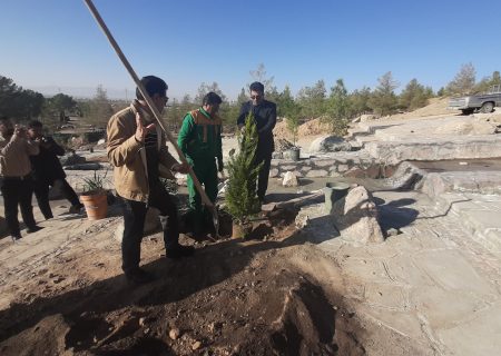 کاشت بیش از ۱۳۰۰ نهال مثمر در مجموعه تفریحی بامشار کاشمر